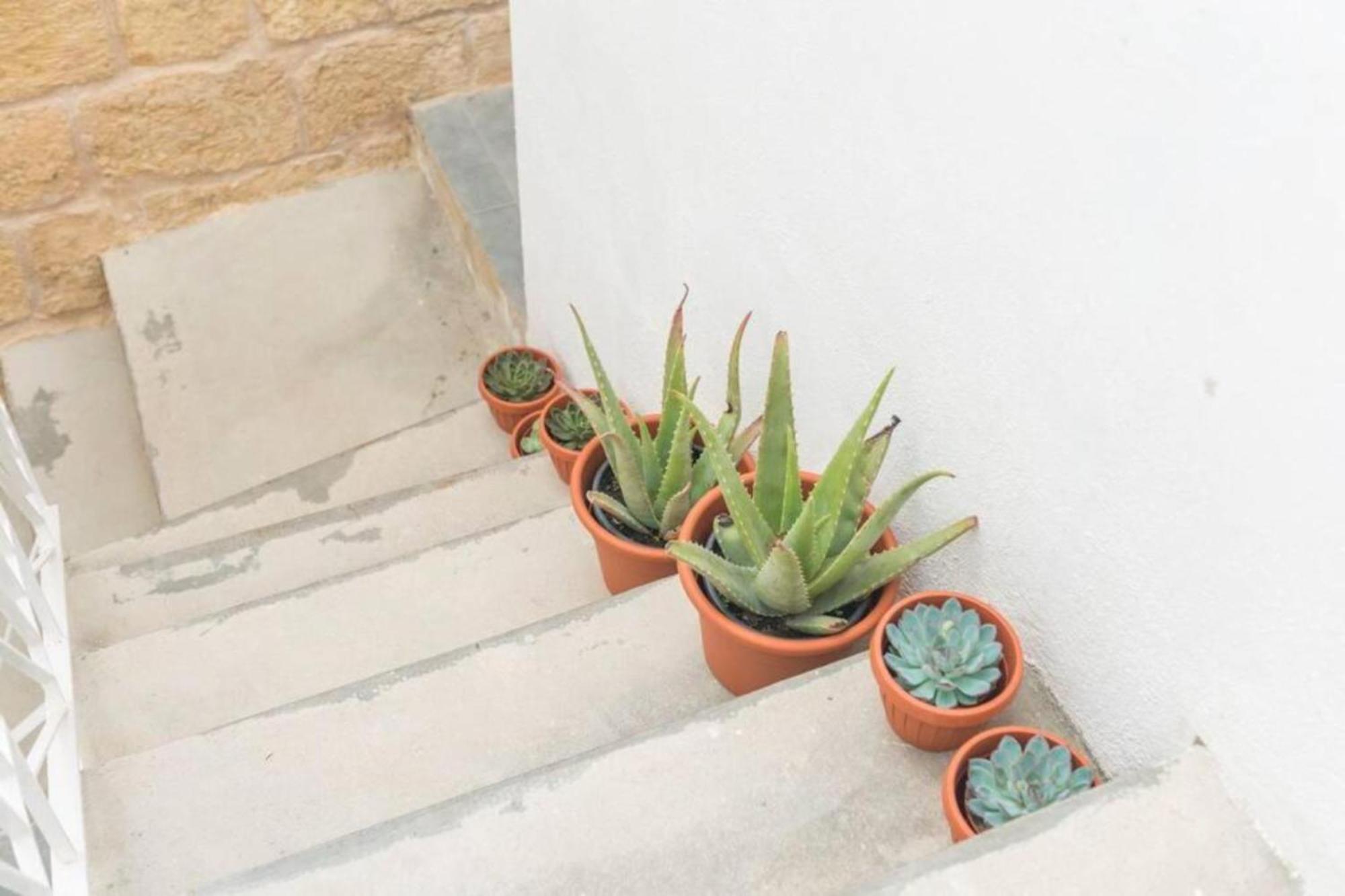 Authentic 1St Fl Apartment At The 3 Cities Marina Cospicua 外观 照片
